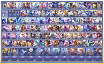 Acc VIP9309
